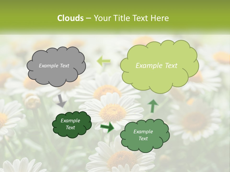 Camomile Field PowerPoint Template
