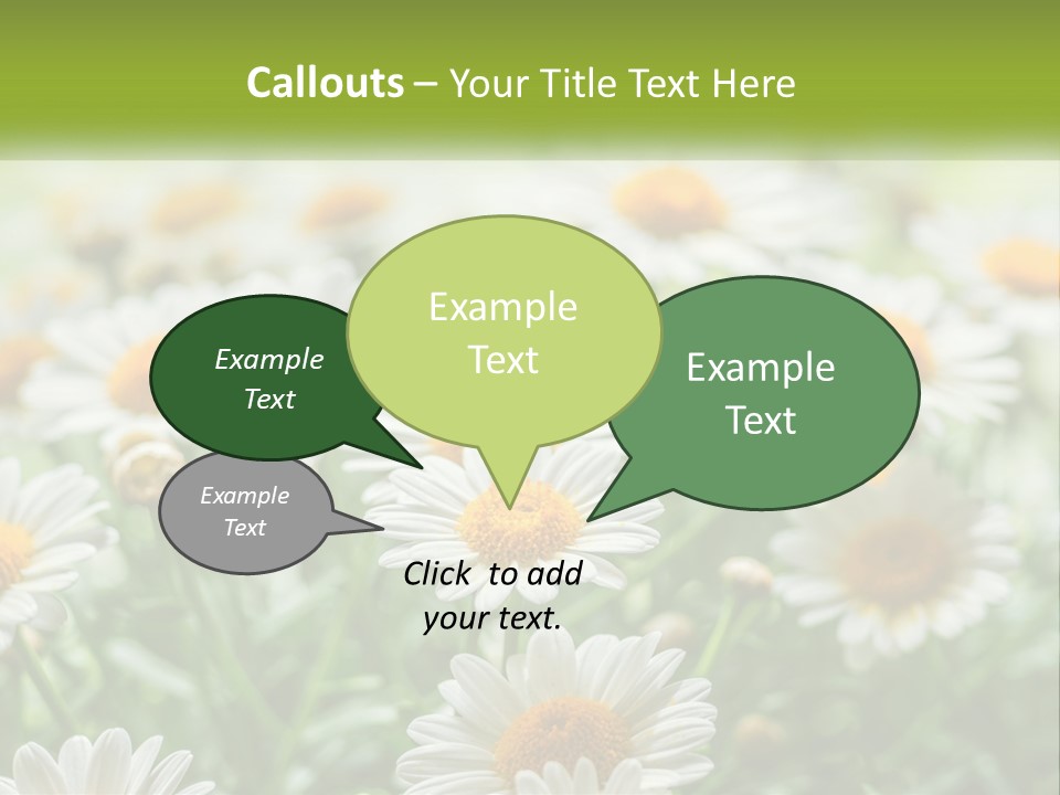 Camomile Field PowerPoint Template