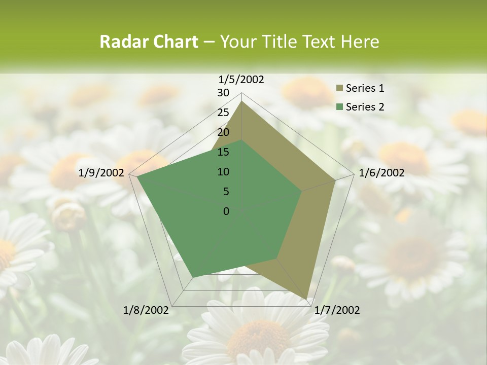 Camomile Field PowerPoint Template