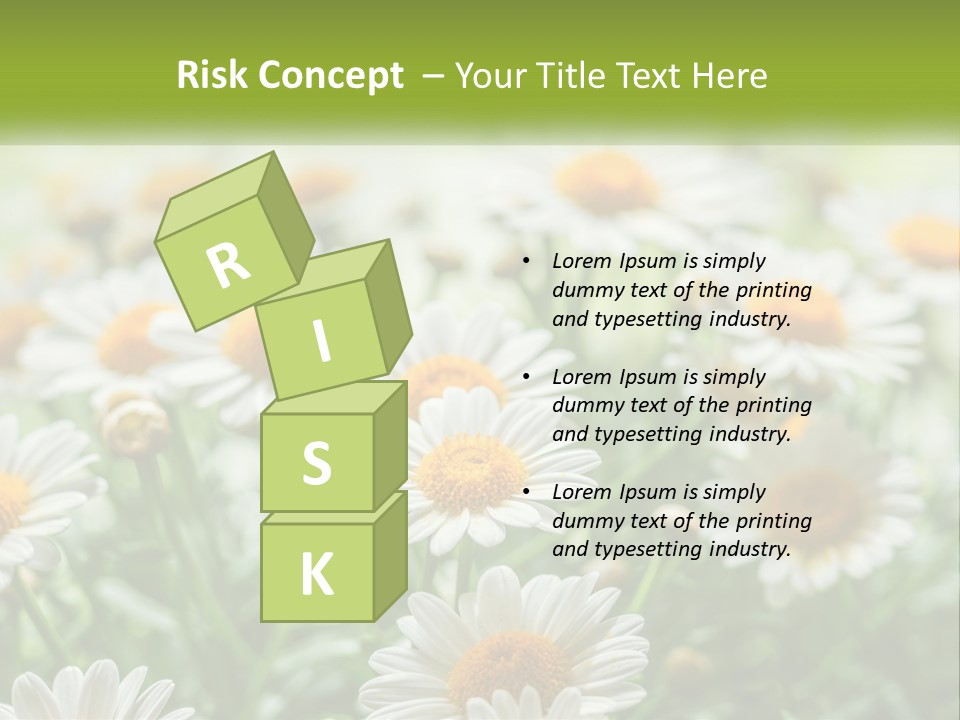 Camomile Field PowerPoint Template