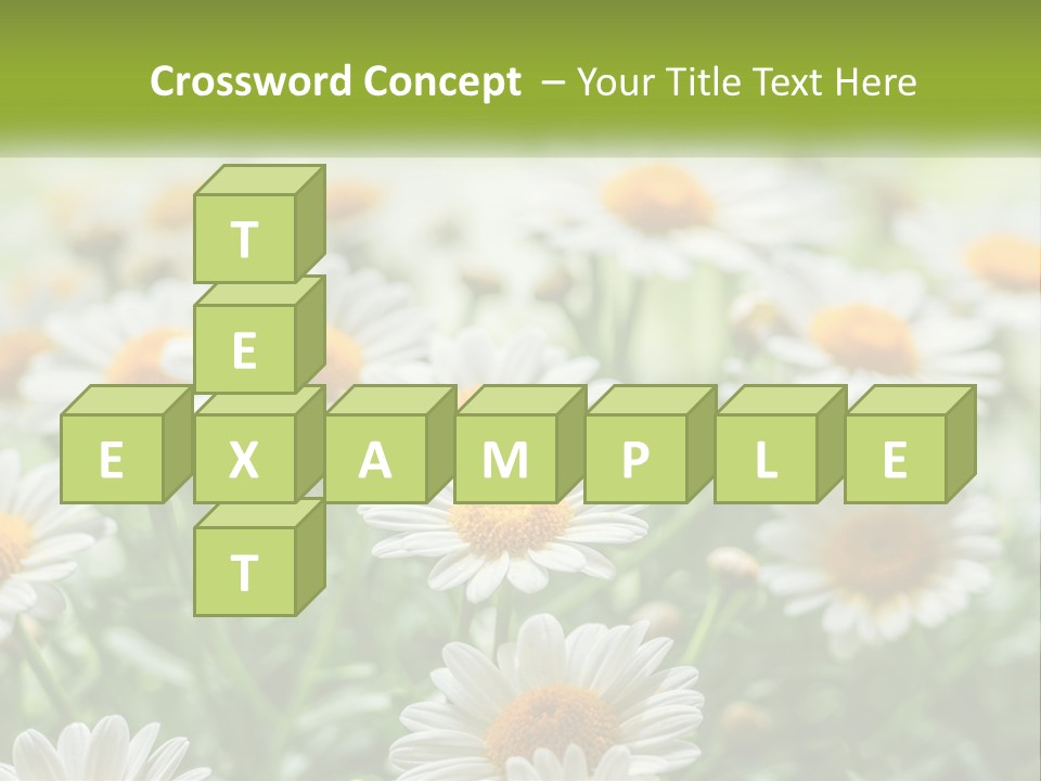 Camomile Field PowerPoint Template