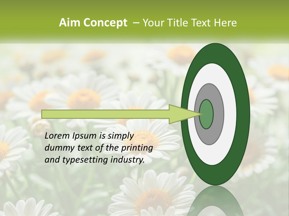 Camomile Field PowerPoint Template