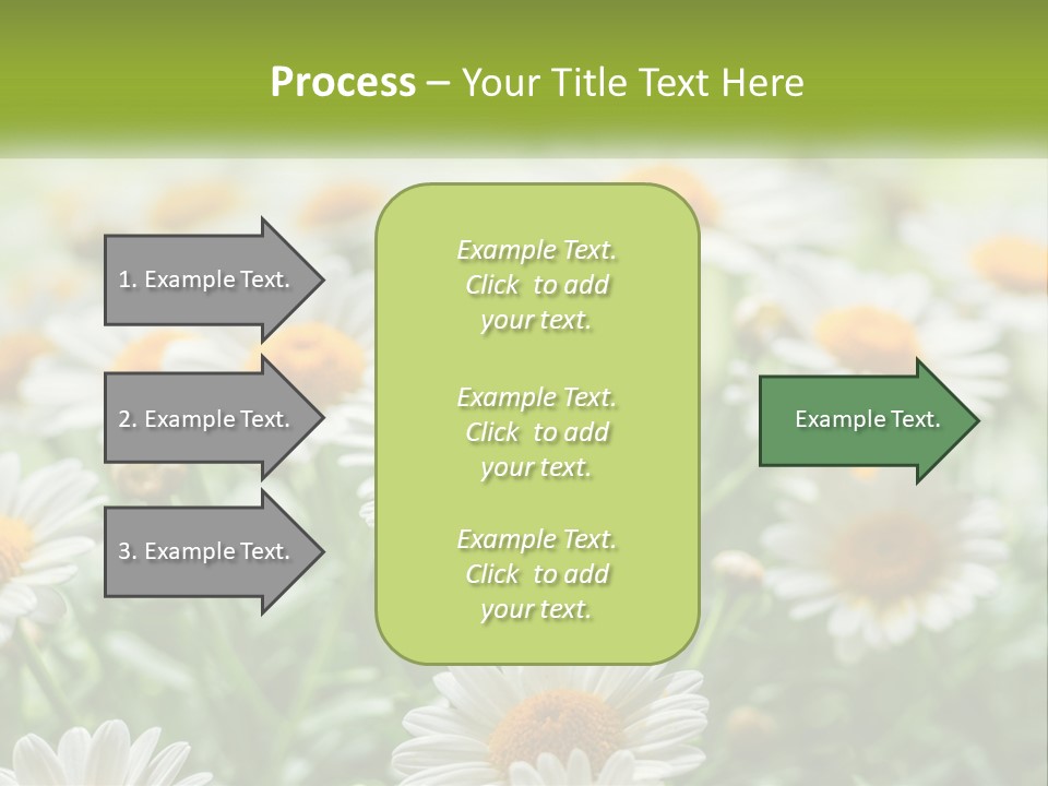 Camomile Field PowerPoint Template