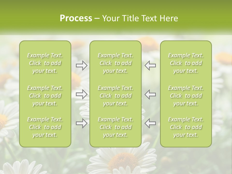 Camomile Field PowerPoint Template