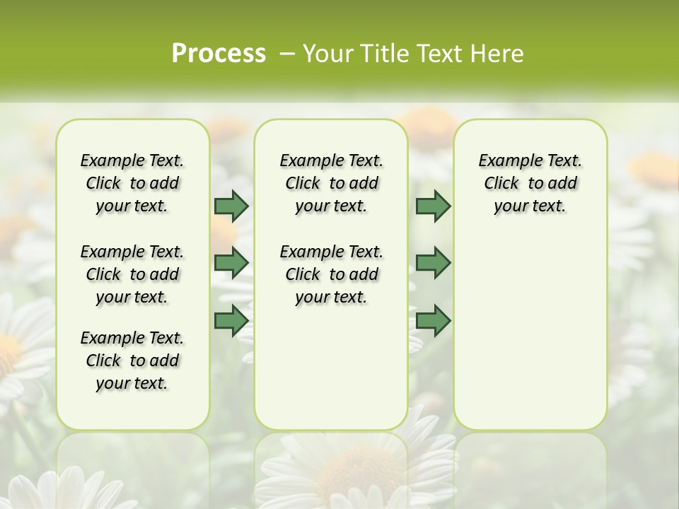 Camomile Field PowerPoint Template