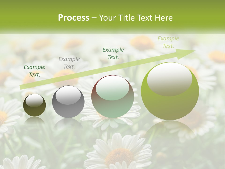 Camomile Field PowerPoint Template