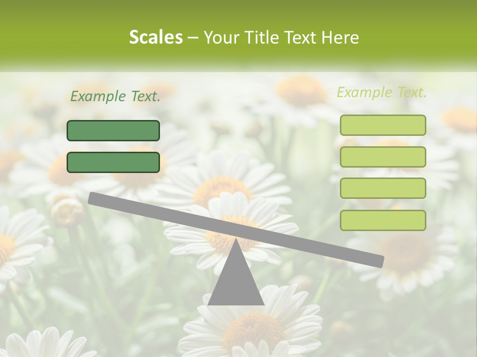 Camomile Field PowerPoint Template