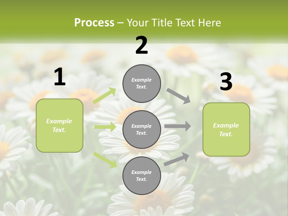 Camomile Field PowerPoint Template