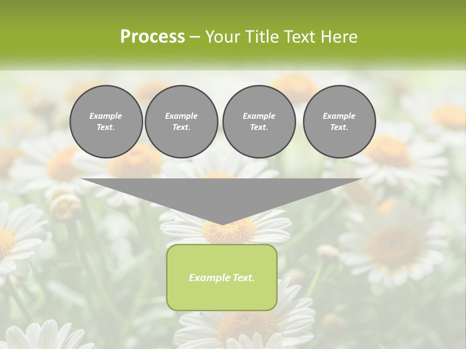 Camomile Field PowerPoint Template