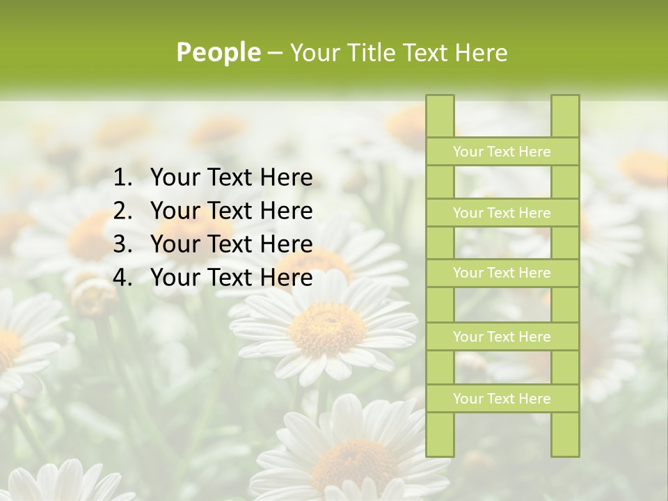 Camomile Field PowerPoint Template