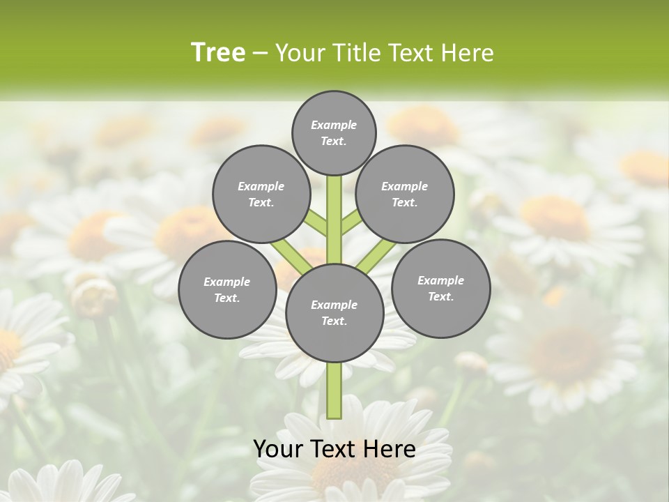 Camomile Field PowerPoint Template