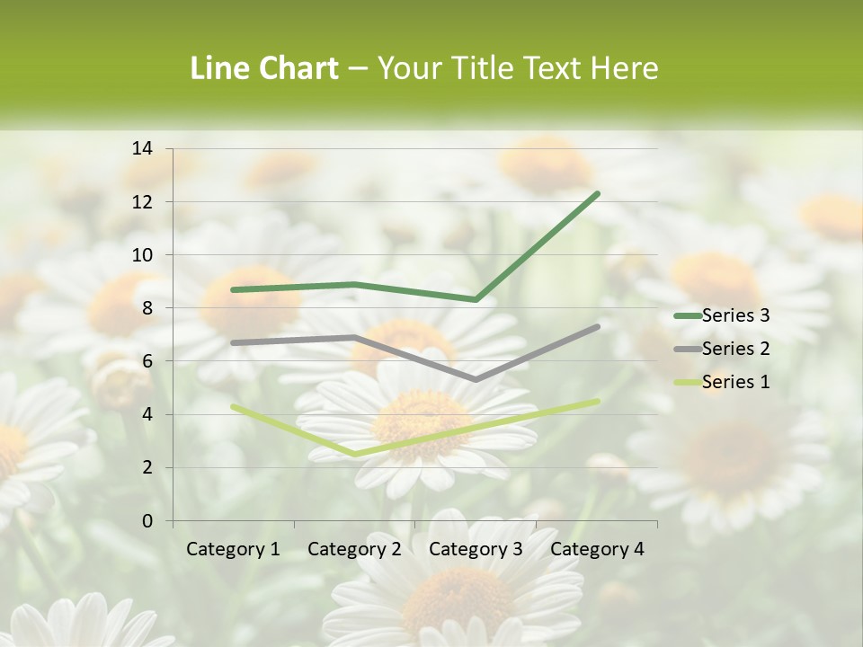 Camomile Field PowerPoint Template