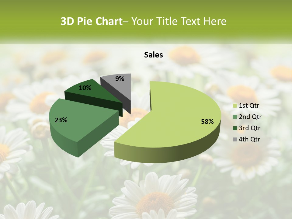 Camomile Field PowerPoint Template