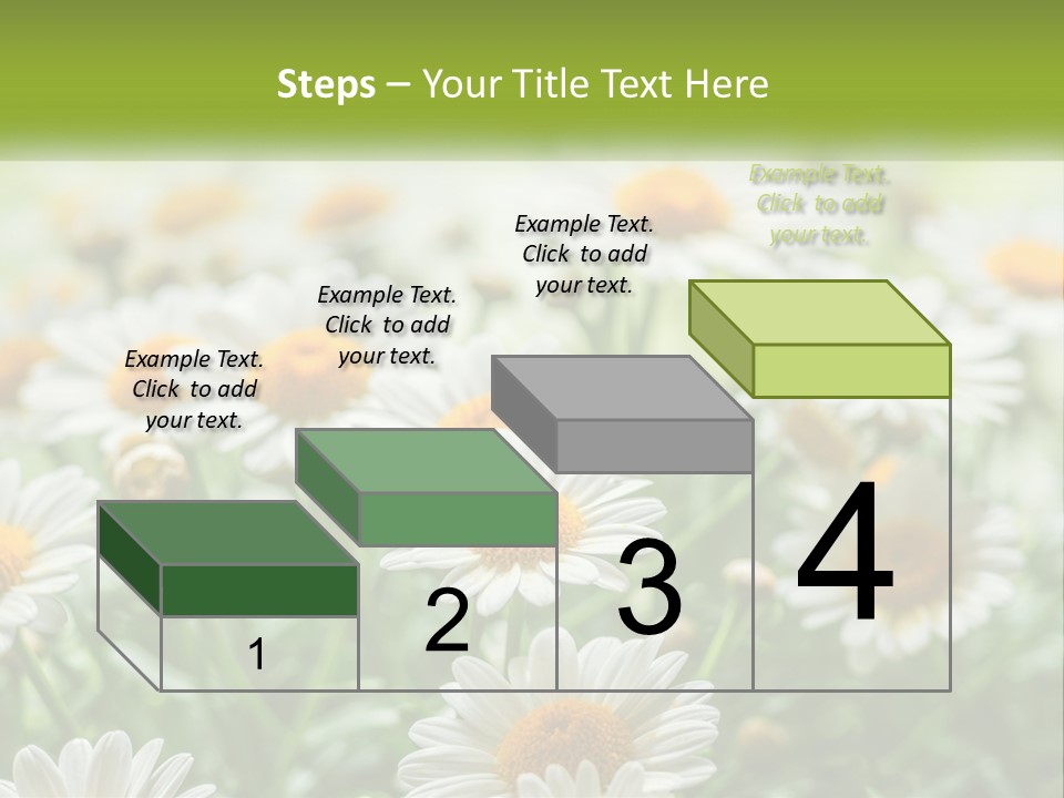 Camomile Field PowerPoint Template