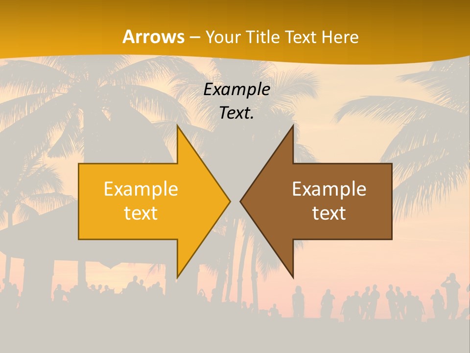 Palm Trees In Miami PowerPoint Template