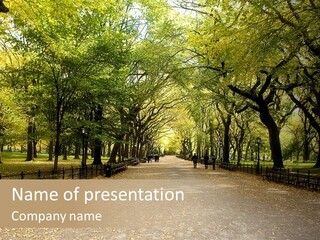 Walkway In The Park PowerPoint Template