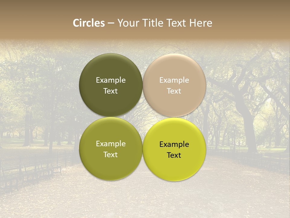 Walkway In The Park PowerPoint Template