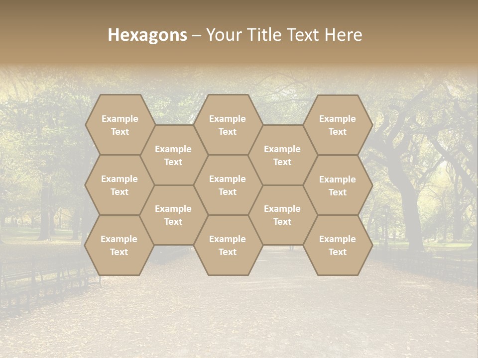 Walkway In The Park PowerPoint Template