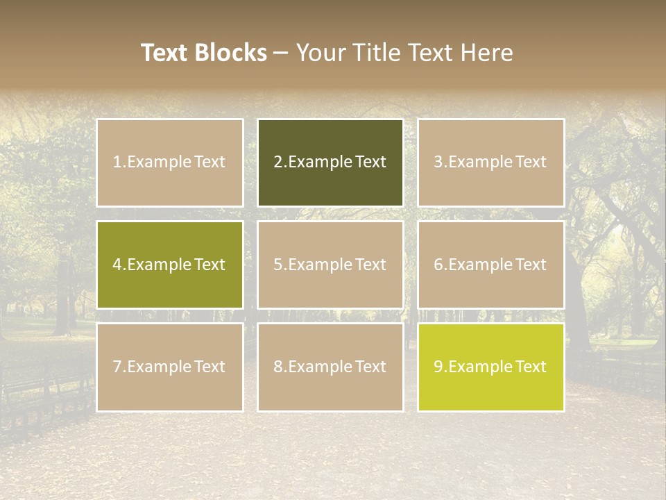 Walkway In The Park PowerPoint Template