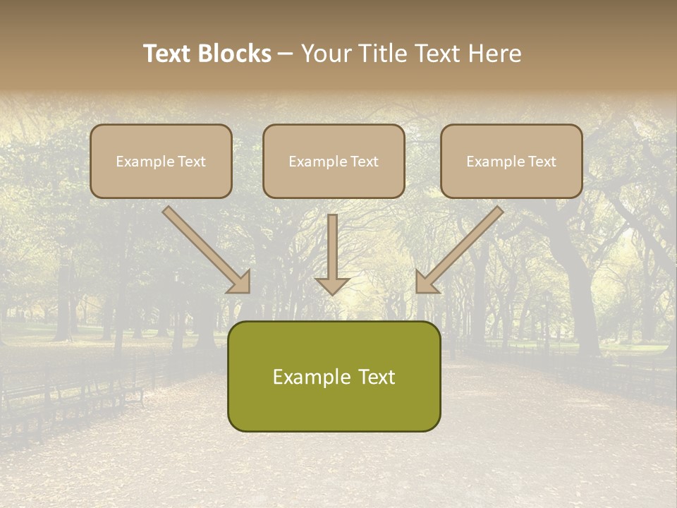 Walkway In The Park PowerPoint Template