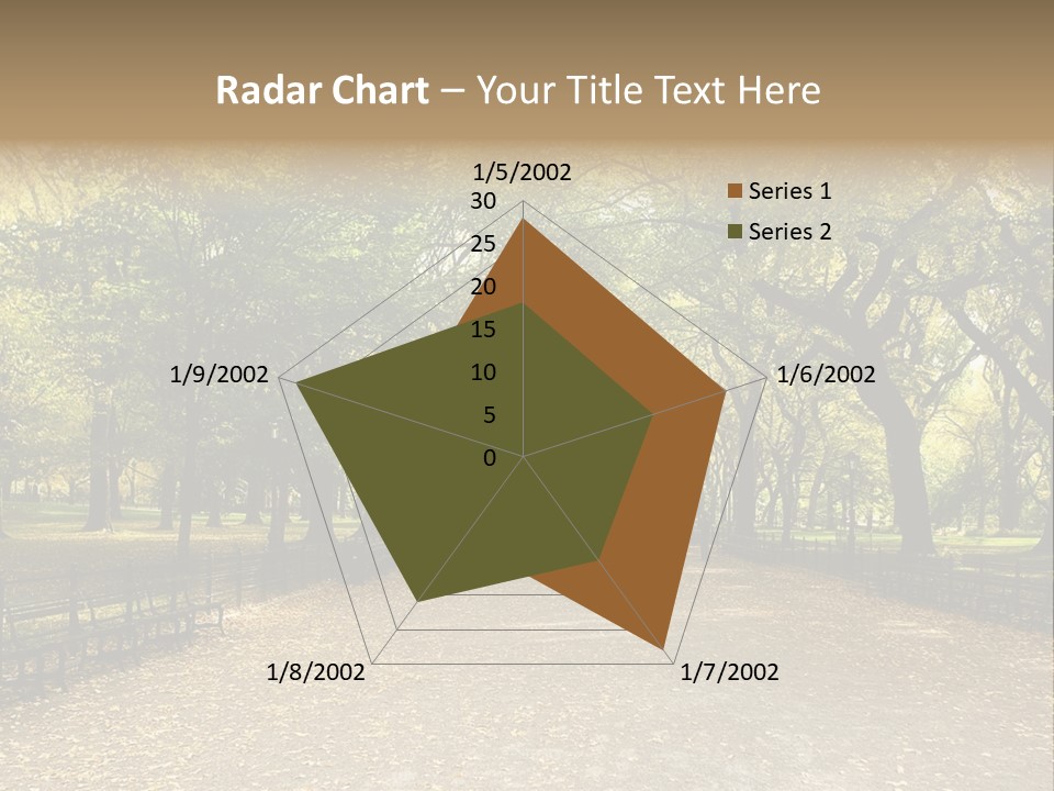 Walkway In The Park PowerPoint Template