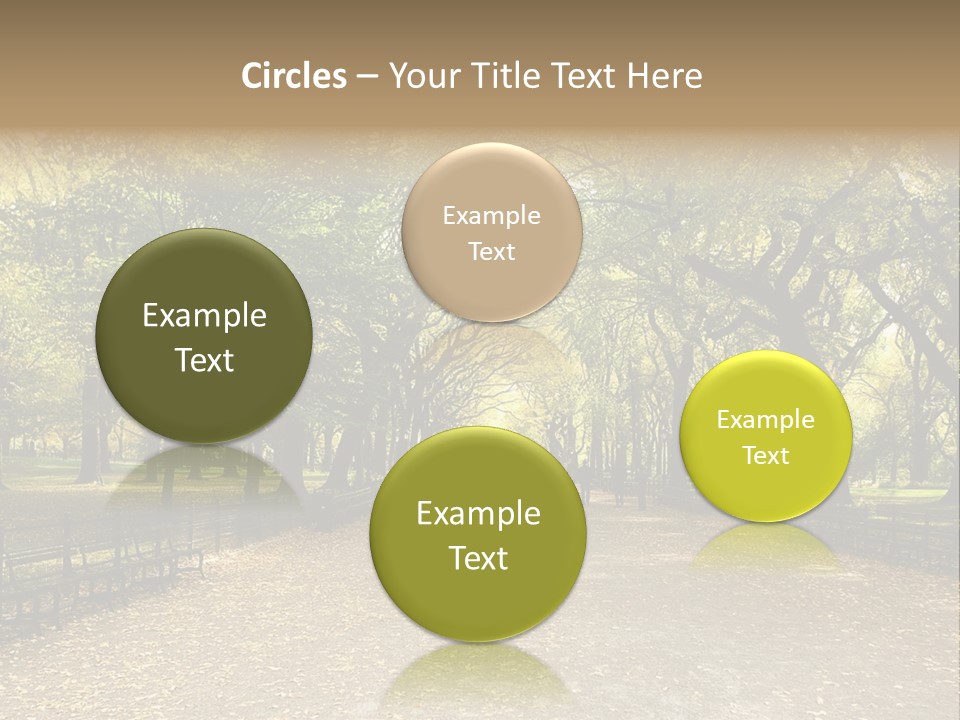 Walkway In The Park PowerPoint Template