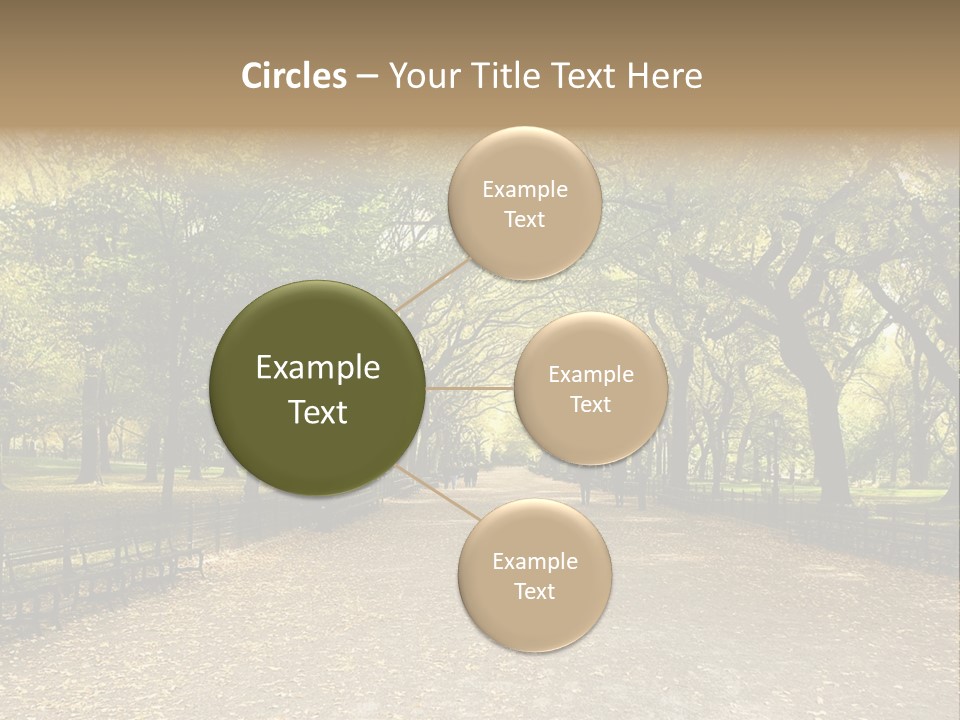 Walkway In The Park PowerPoint Template