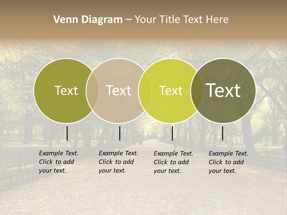 Walkway In The Park PowerPoint Template