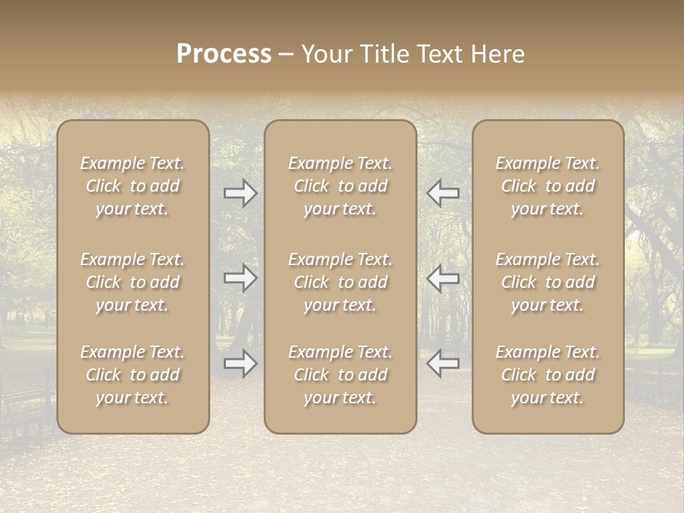 Walkway In The Park PowerPoint Template