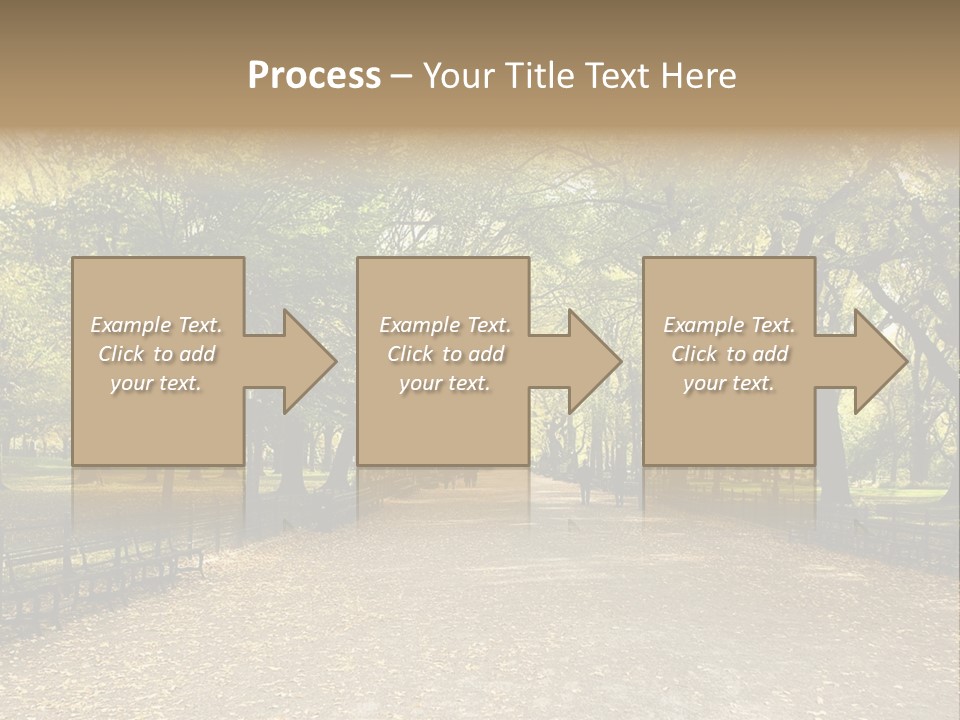 Walkway In The Park PowerPoint Template