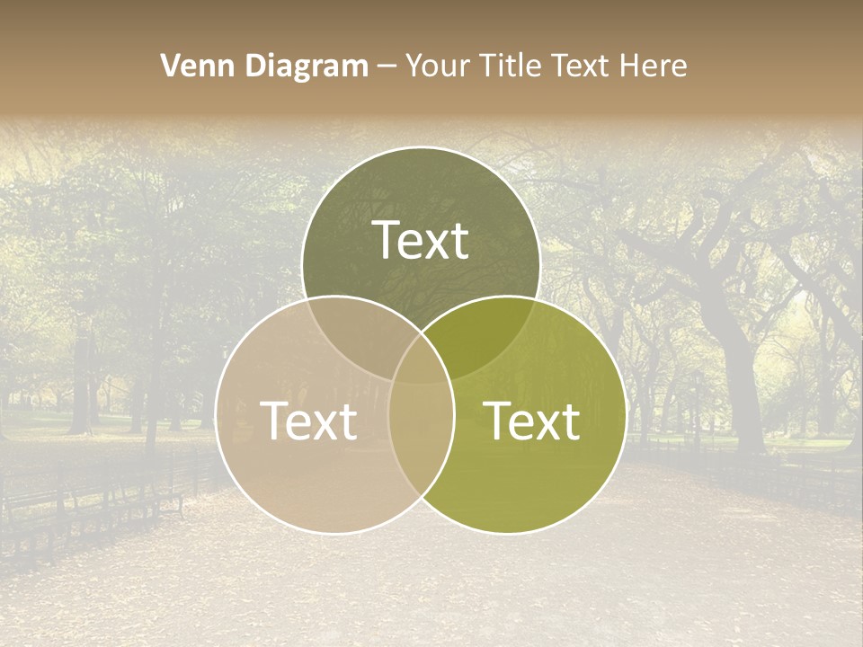 Walkway In The Park PowerPoint Template