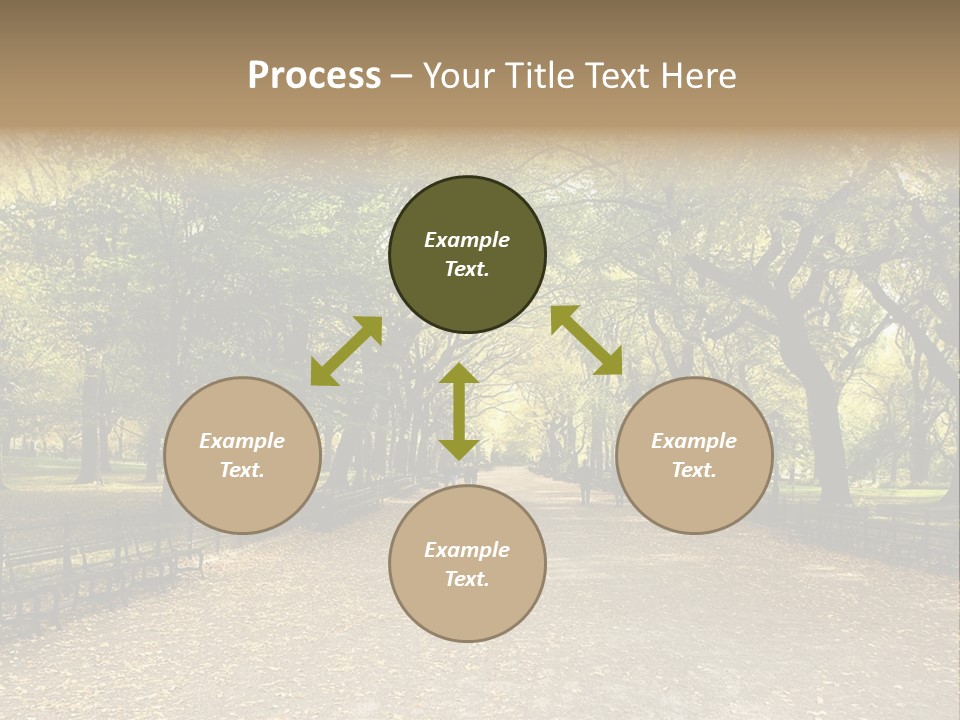 Walkway In The Park PowerPoint Template