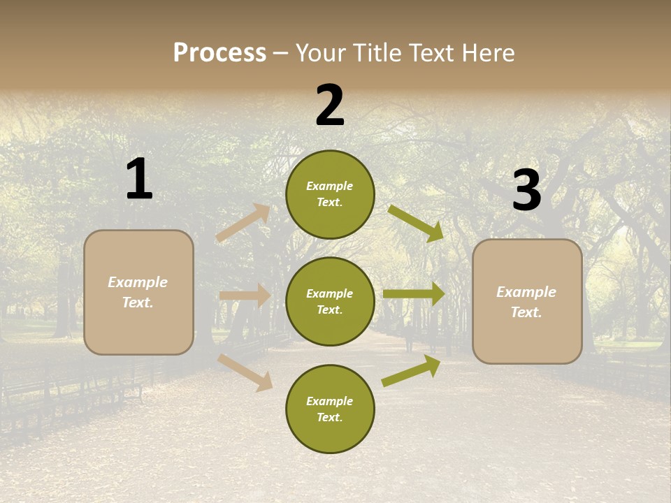 Walkway In The Park PowerPoint Template
