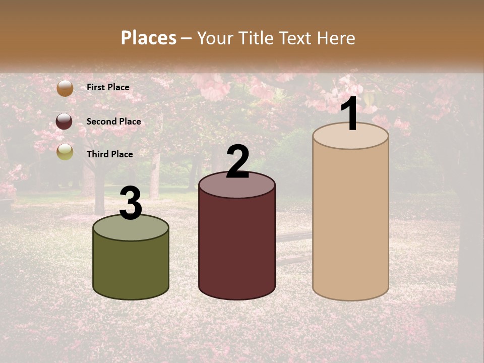 Park Bench With Sakura PowerPoint Template