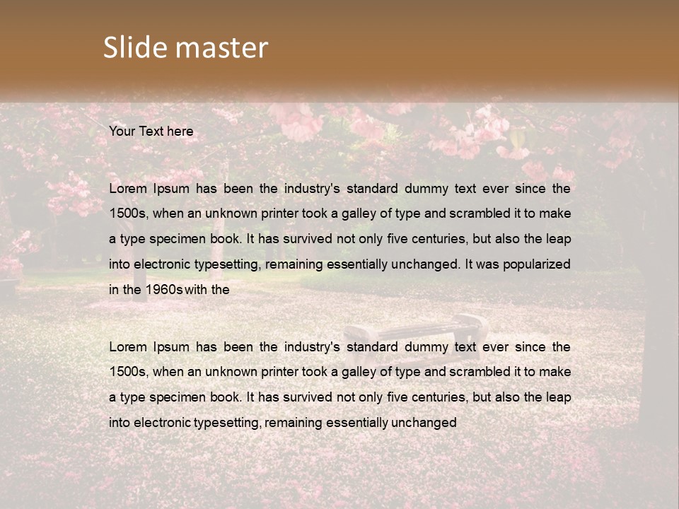 Park Bench With Sakura PowerPoint Template