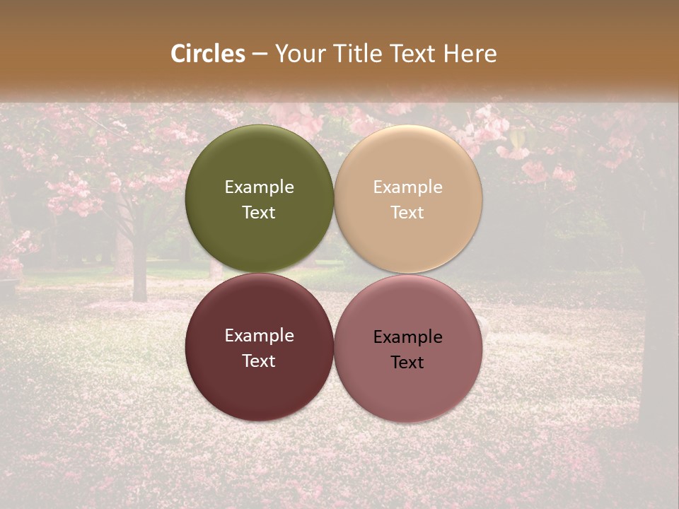 Park Bench With Sakura PowerPoint Template