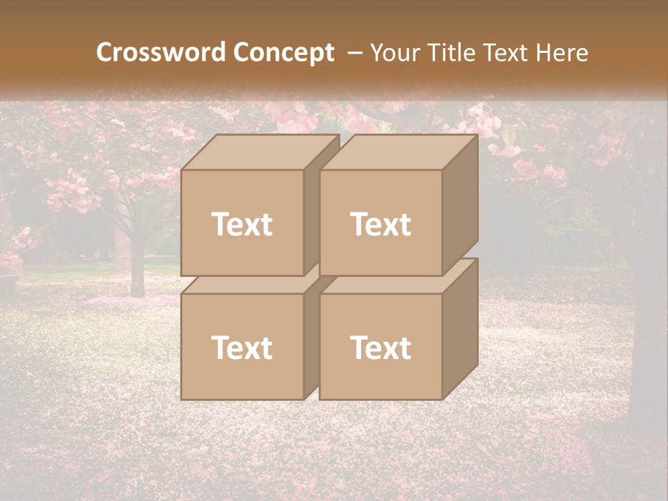 Park Bench With Sakura PowerPoint Template