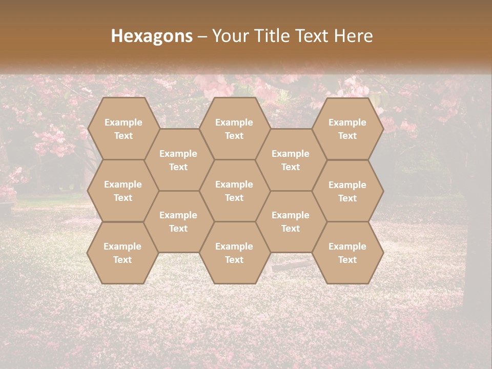 Park Bench With Sakura PowerPoint Template