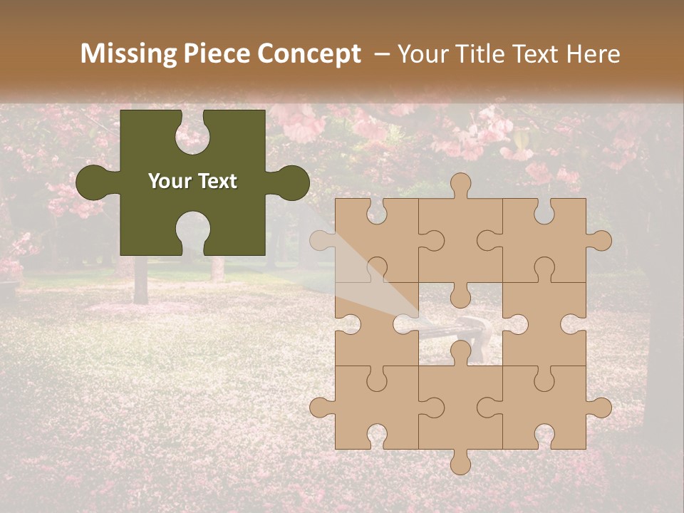 Park Bench With Sakura PowerPoint Template