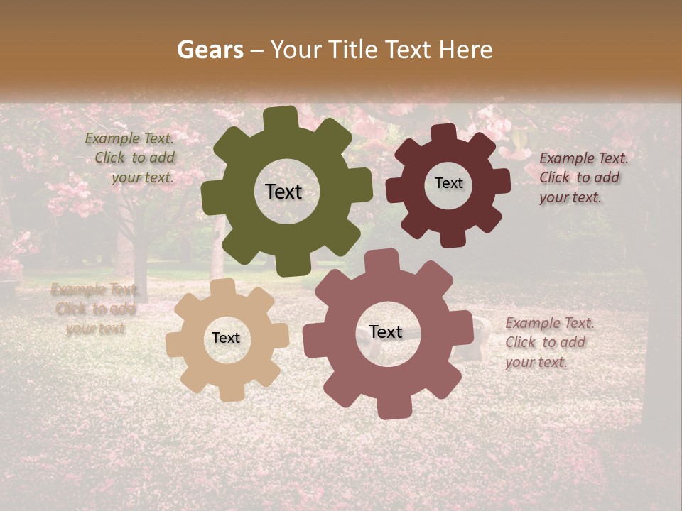Park Bench With Sakura PowerPoint Template