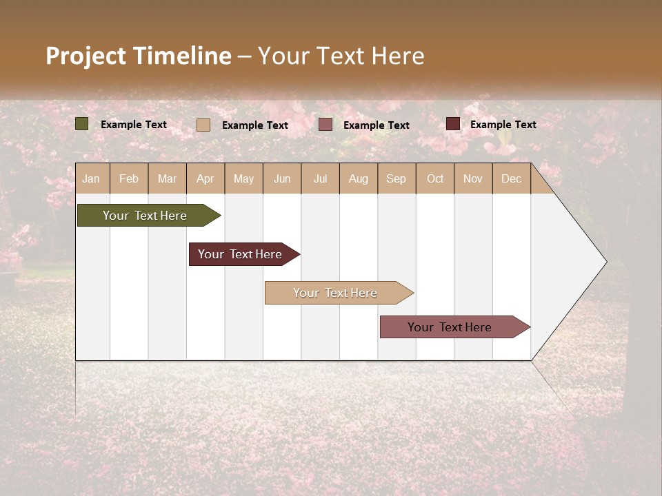 Park Bench With Sakura PowerPoint Template