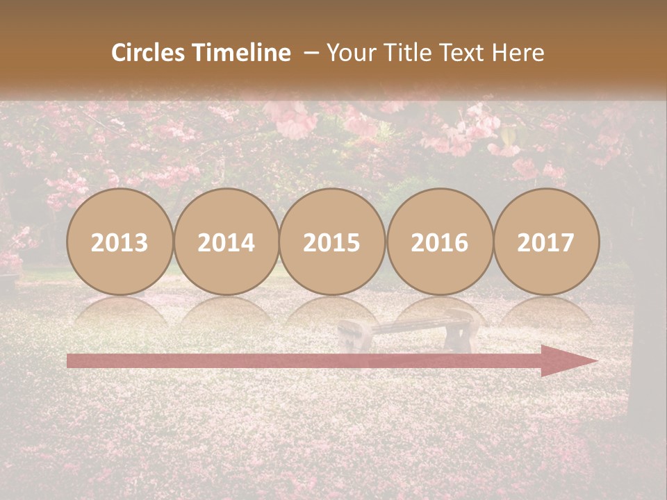 Park Bench With Sakura PowerPoint Template