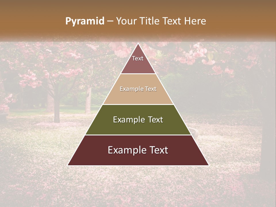 Park Bench With Sakura PowerPoint Template