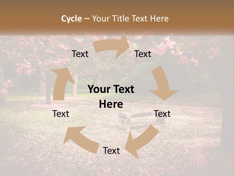 Park Bench With Sakura PowerPoint Template