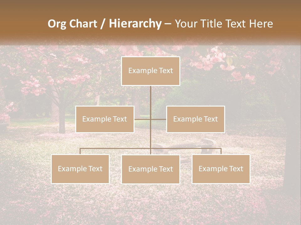 Park Bench With Sakura PowerPoint Template
