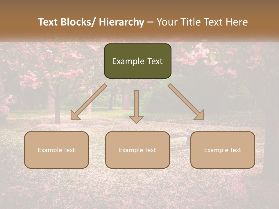 Park Bench With Sakura PowerPoint Template