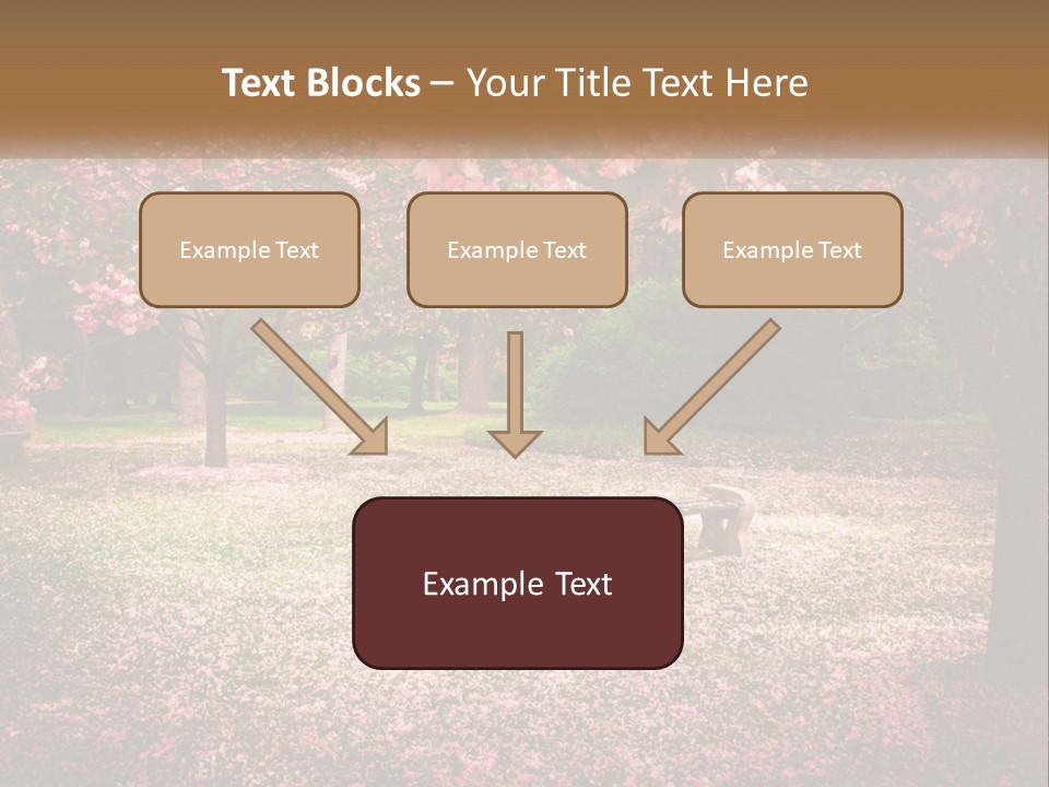 Park Bench With Sakura PowerPoint Template