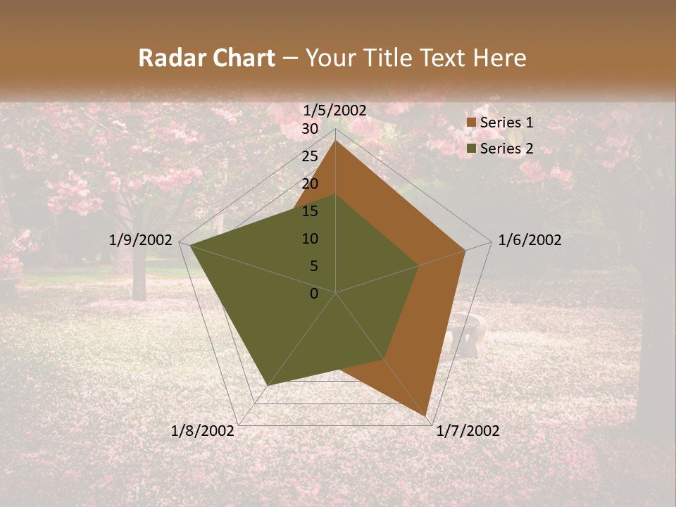 Park Bench With Sakura PowerPoint Template