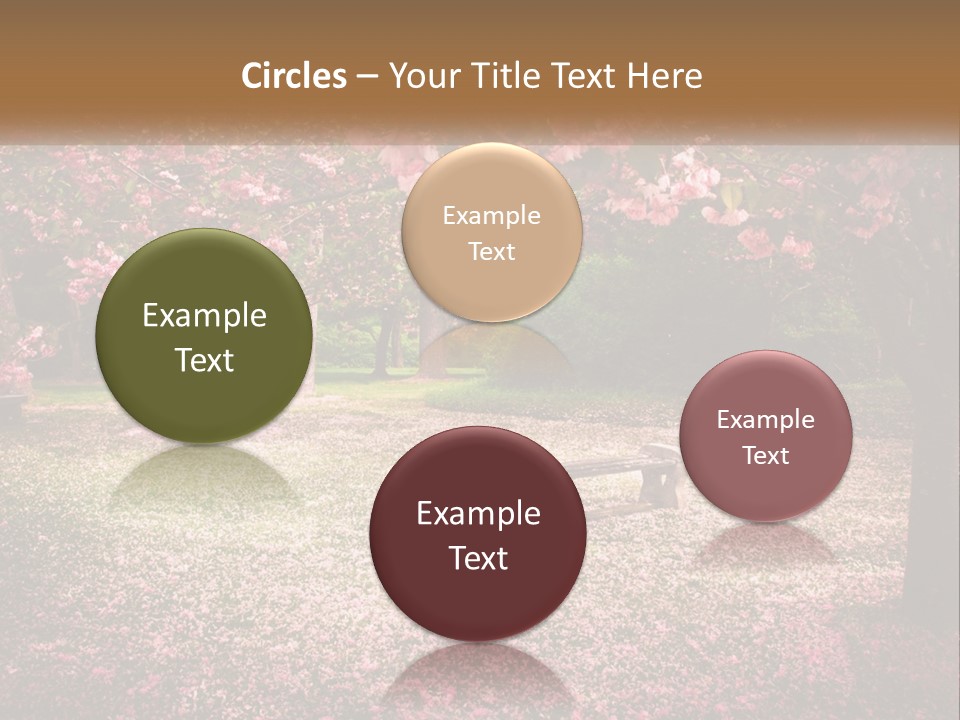 Park Bench With Sakura PowerPoint Template