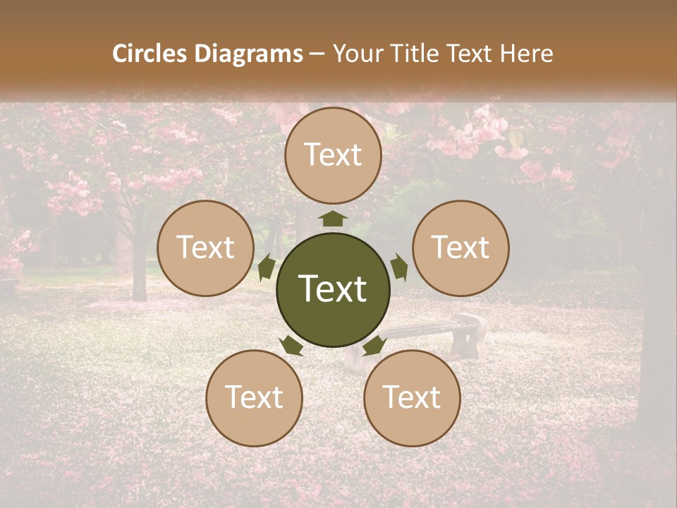 Park Bench With Sakura PowerPoint Template